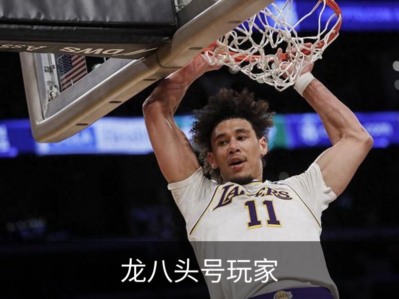 龙八头号玩家简介